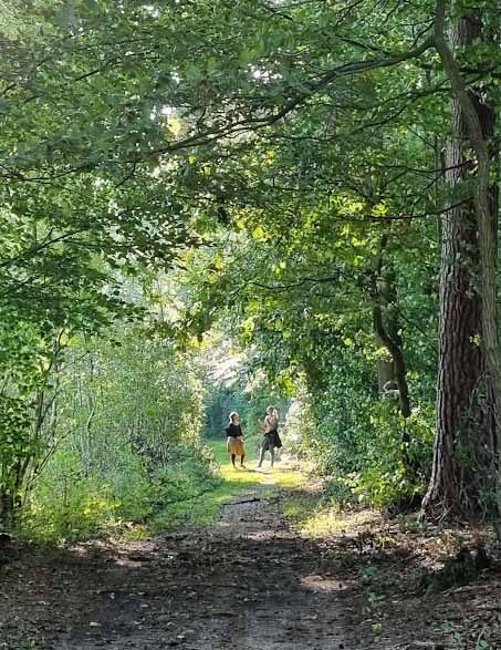 Zwei Menschen gehen auf einem sonnendurchfluteten Waldweg zwischen dichten Bäumen