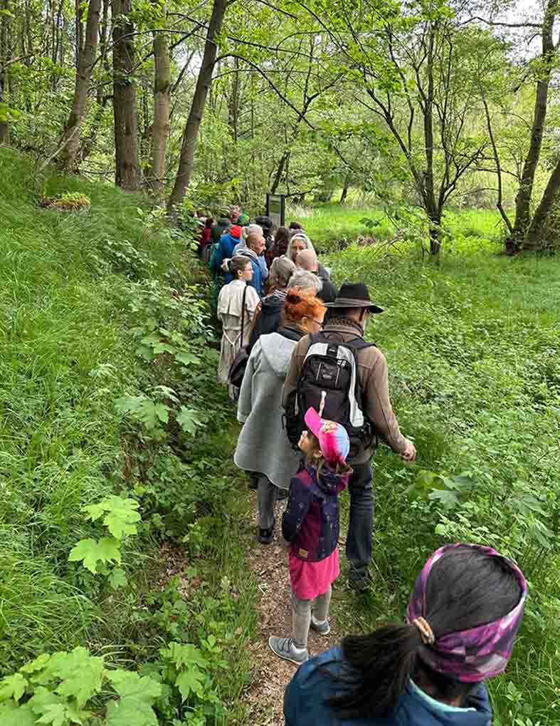 Gruppe von Menschen geht hintereinander über einen schmalen Pfad durch grünes, bewachsenes Gelände
