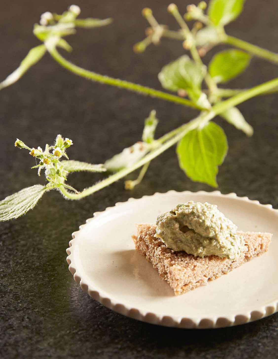 Grüner Kräuteraufstrich auf einer Scheibe Vollkornbrot, daneben ein Zweig mit kleinen weißen Blüten