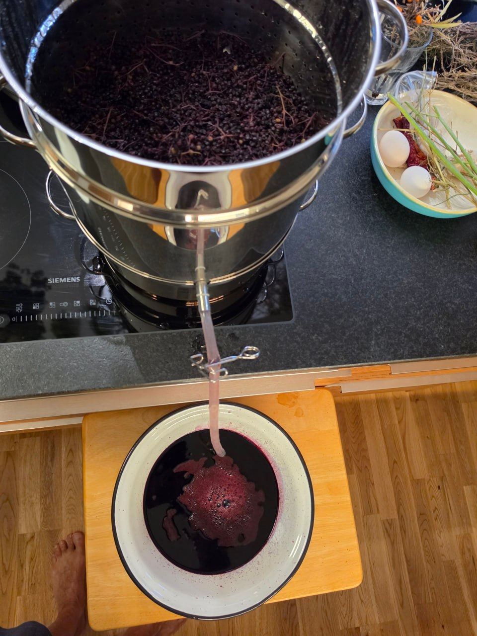 Dampfentsafter auf dem Herd, der Holundersaft läuft durch den Schlauch in eine Schüssel