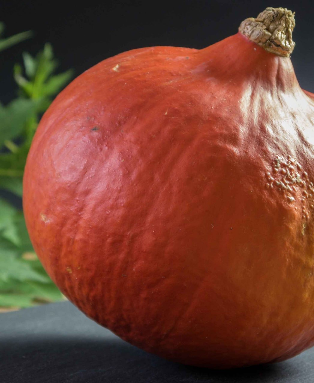 Ein ganzer orangeroter Hokkaido-Kürbis vor dunklem Hintergrund